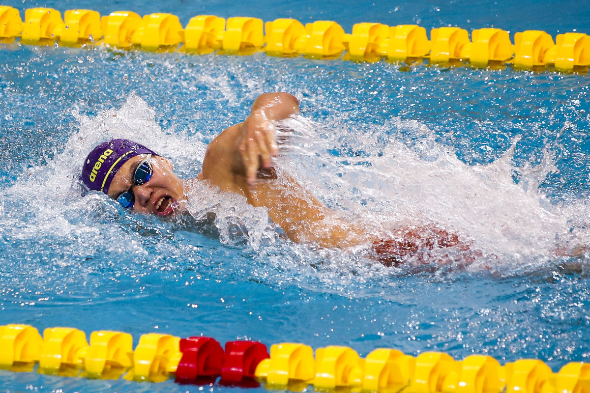 关于冷静与激情交织!游泳完美收官的信息 关于冷静与激情交织!游泳完美收官的信息