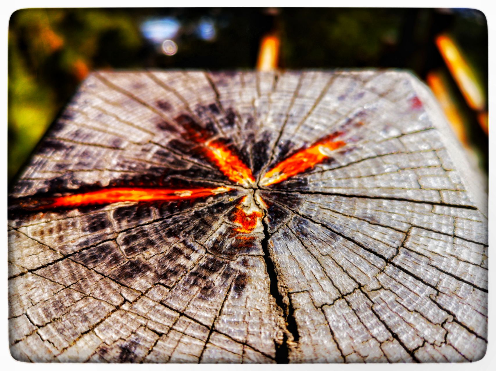 开云体育入口-即时盘口球员突破自我，表现堪称完美