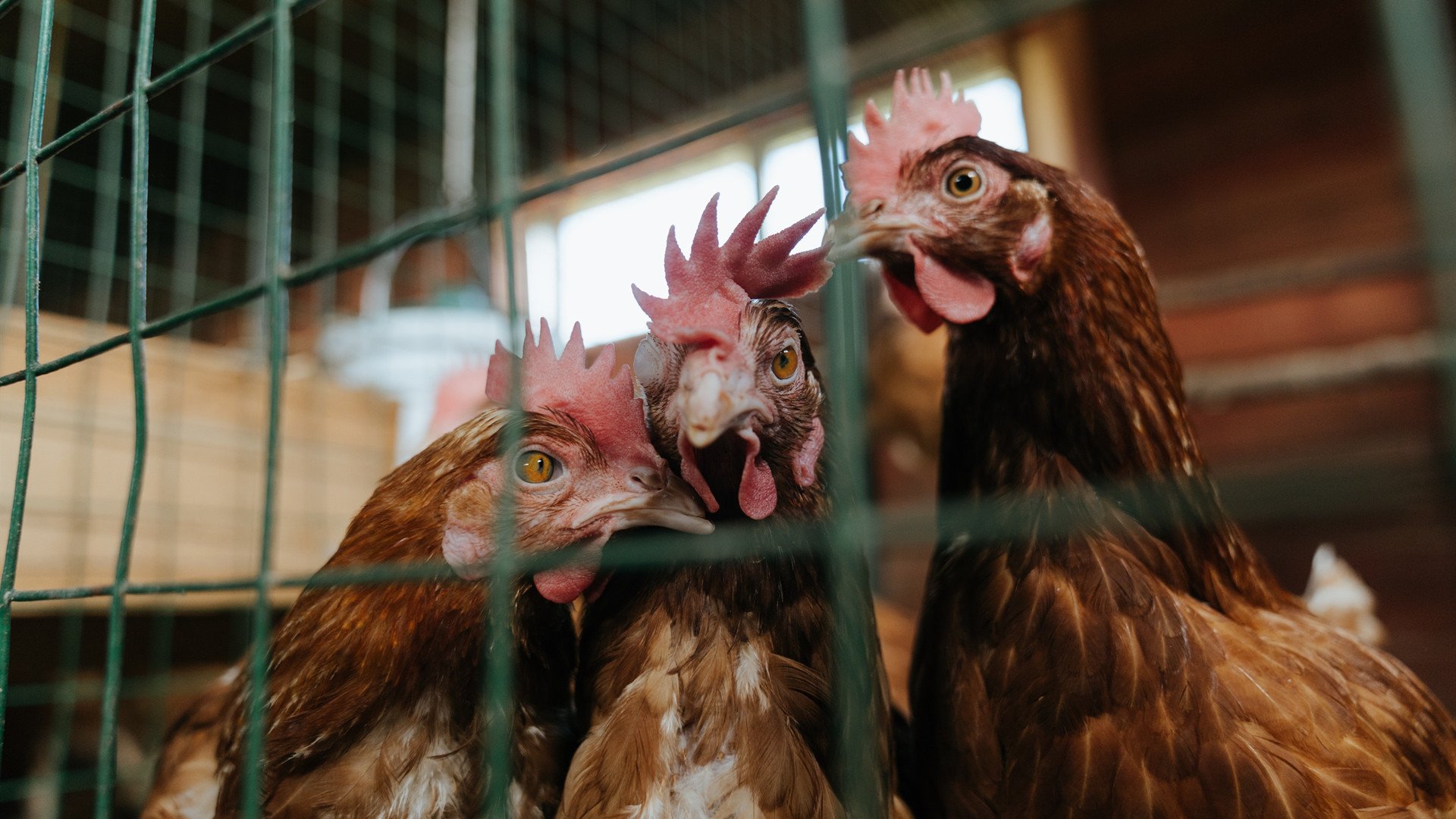 看到您希望围绕这场独特的比赛写一篇具有唯一性的文章，我为您构思了几个不同角度的标题，并选取了最具思辨性的一个完成了全文