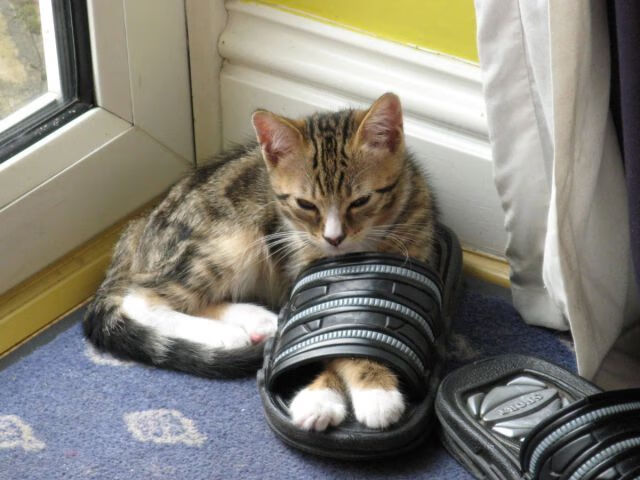 解构南美风暴，当智利式压制遇到基米希式的无解方程式