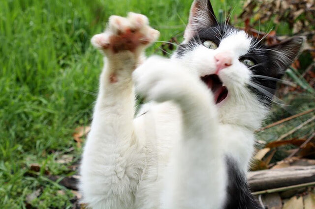 平行时空的哨响，当东决焦点战与雷霆突围战在命运拐点共鸣