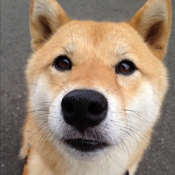 开云sport-逆流而上，拉梅诺·鲍尔燃烧天赋之夜，尼克斯狂野赛点征服盐湖城