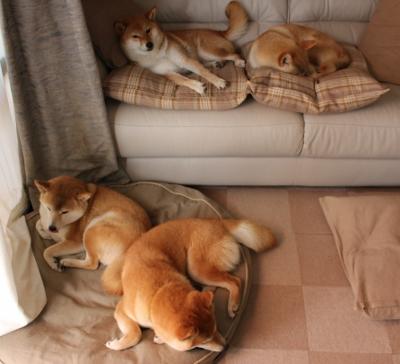 开云体育APP下载-降维打击！皇马外租小将卡马文加在里昂vs沙特友谊赛中演绎非典型狂欢