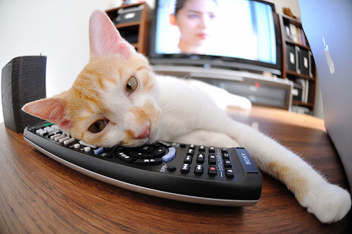 剑锋所指，通往伟大，塔图姆的抢七杀戮之夜