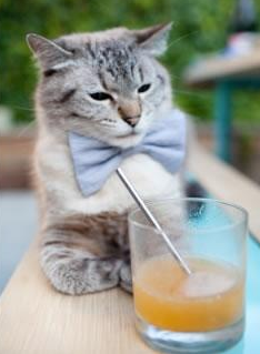 三国共燃一团火，特奥一剑定星辰—美加墨世界杯史诗之夜