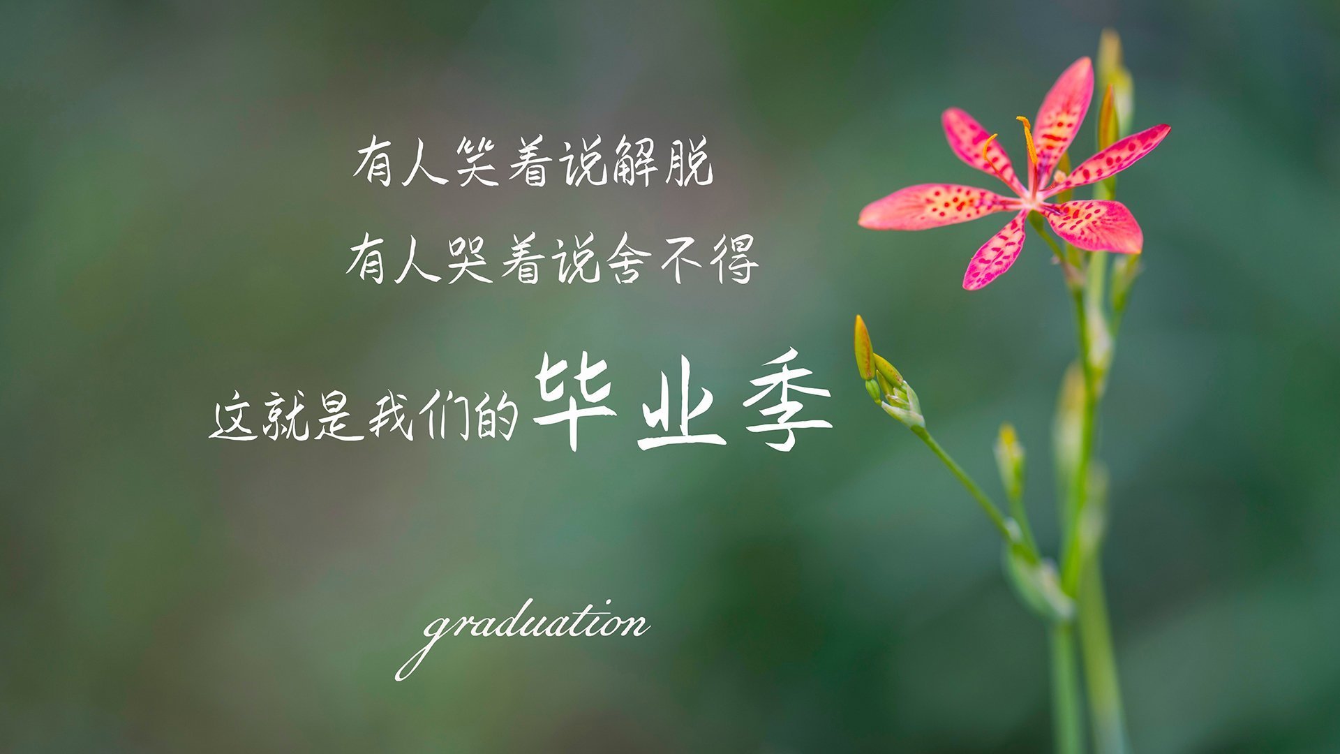 开云体育登录-冰火对决，北京队跨时空冲垮勇士王朝，拉梅洛撕裂时空裂缝定乾坤