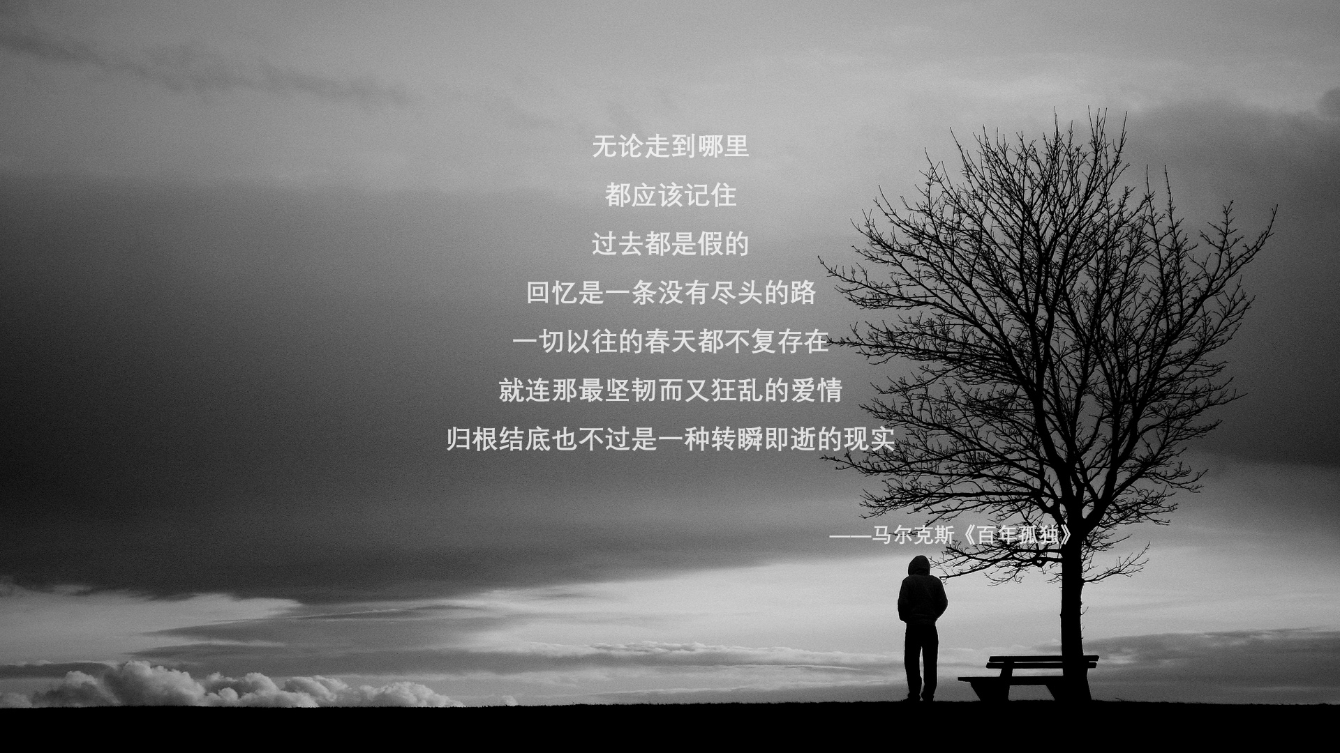 绿茵战争,当奥斯梅恩在美洲杯上掀翻委内瑞拉