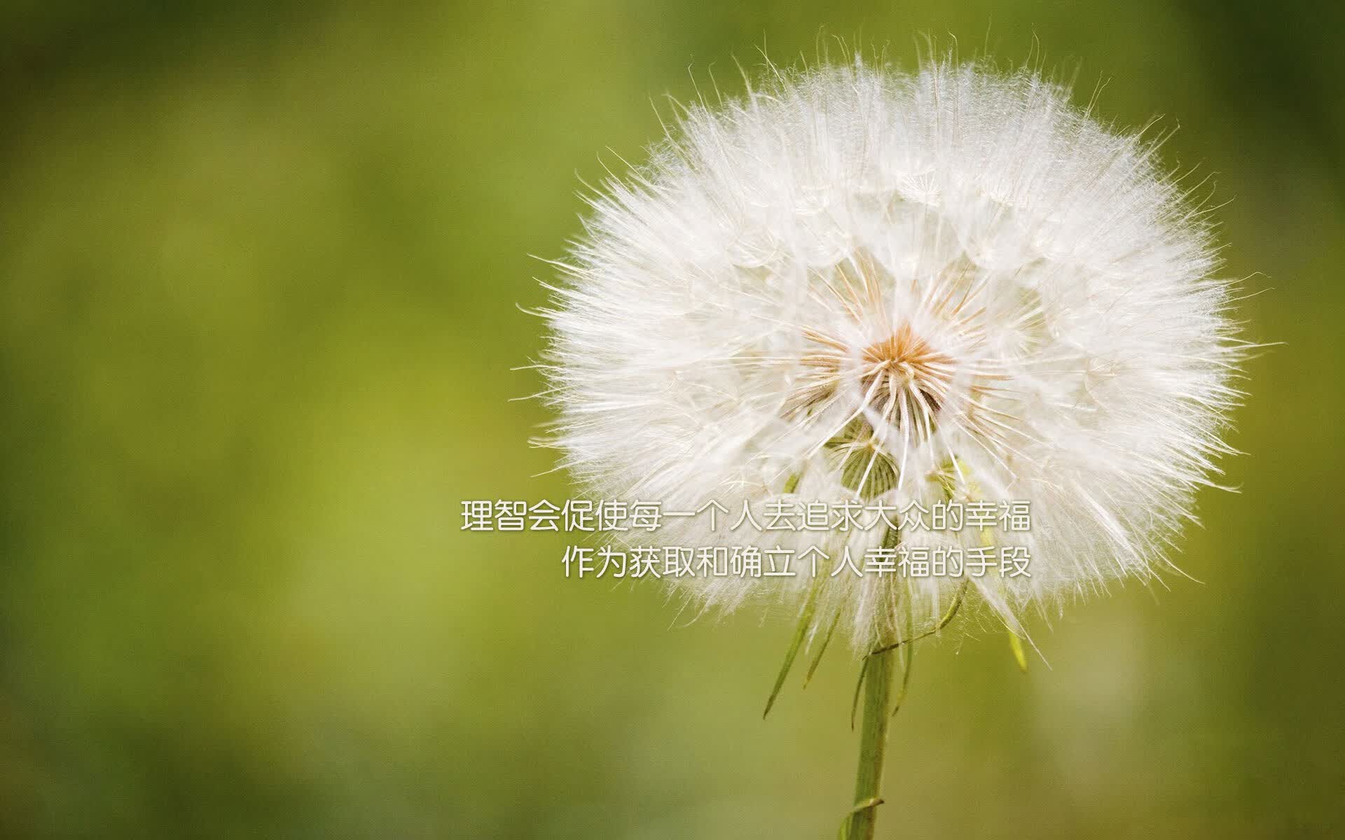 灰色童话，当加维在2026年之巅，亲手撕裂命运的剧本