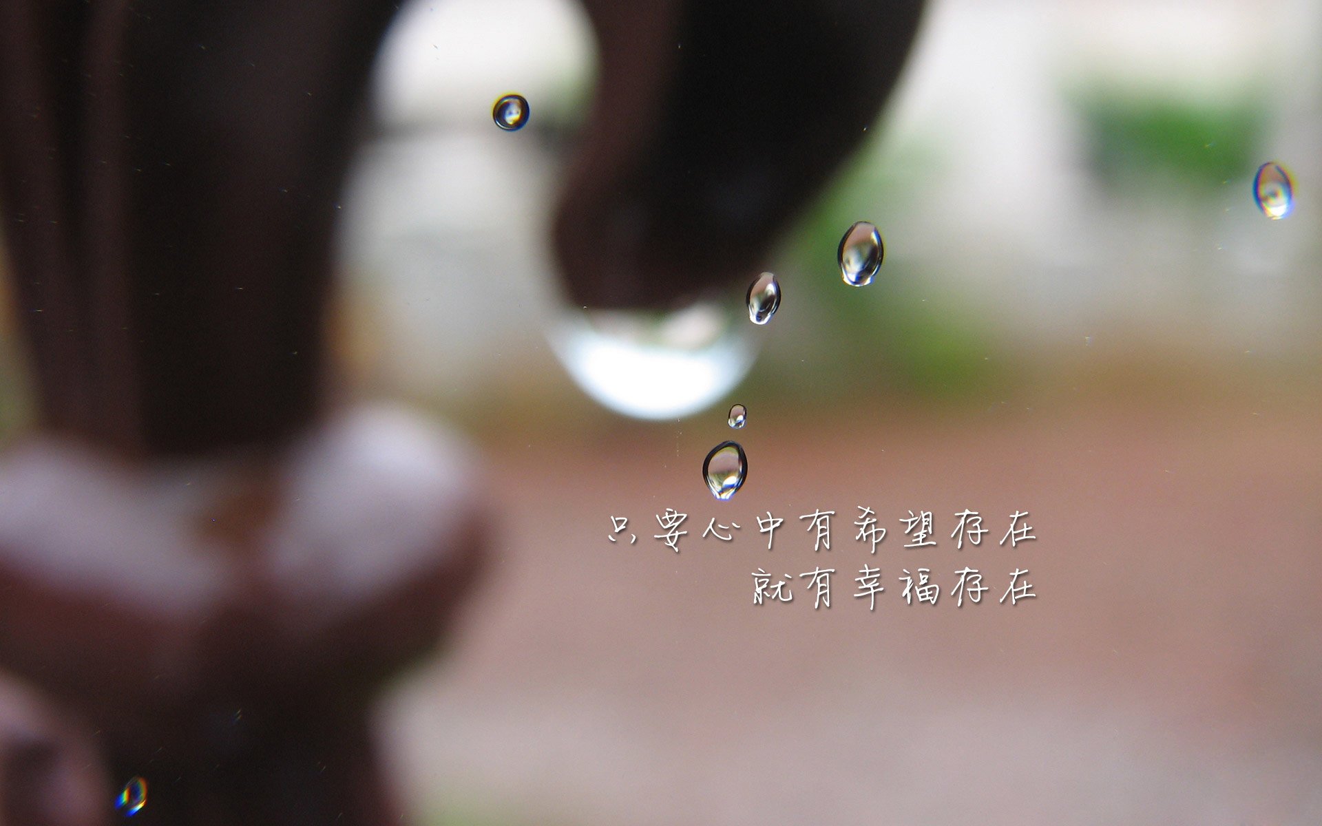 颠覆与撕裂，当袋鼠军团咬碎秘鲁防线，哈基米在另一个维度独舞
