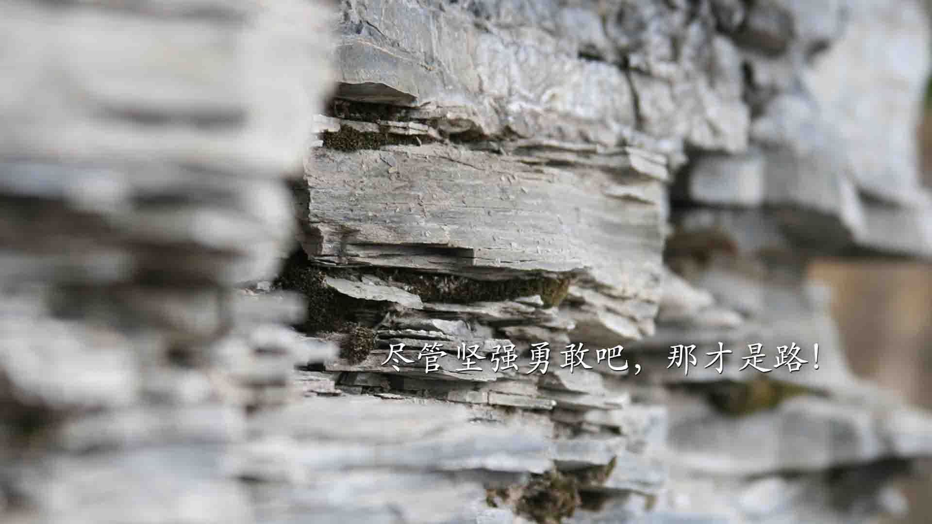 当碾压成为错觉,2026世界杯最诡异的巅峰对决,奥地利狂轰53脚,孙兴慜一剑封喉